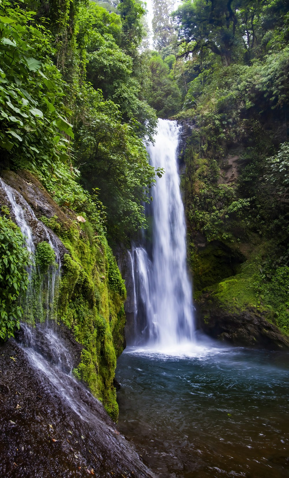 a large waterfall in the middle of a forest