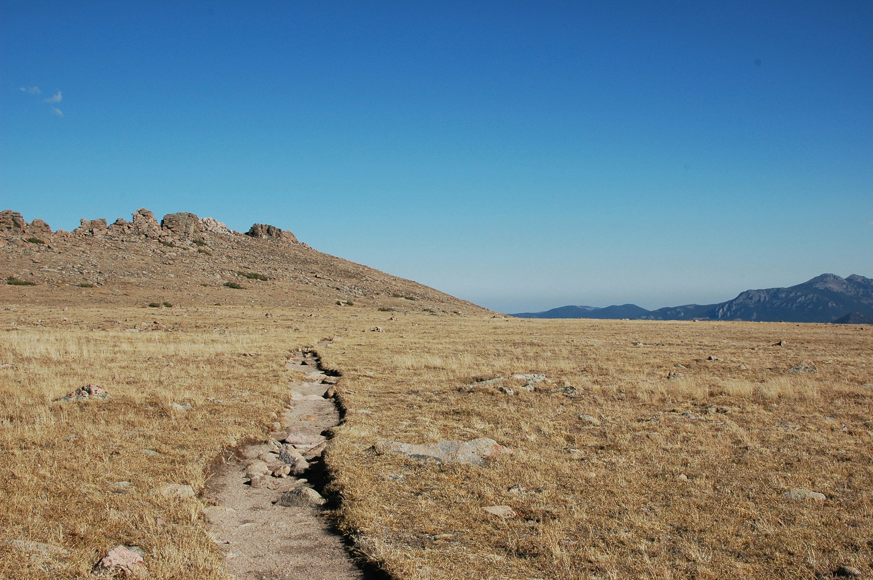 a dirt path in the middle of a dry grass field