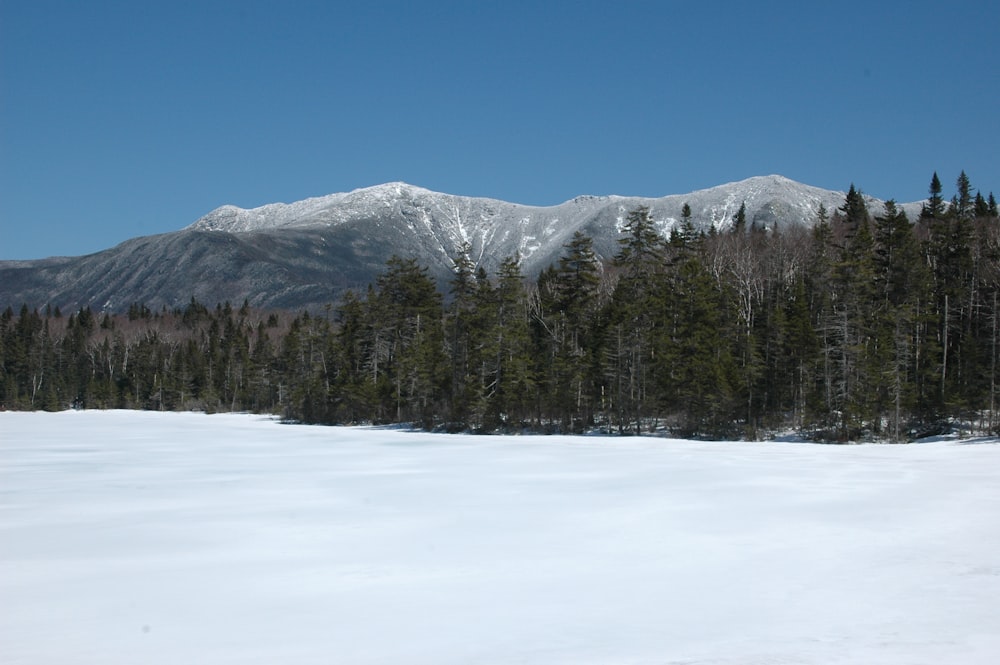 a snow covered field with trees and mountains in the background