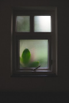 a close up of a window with a plant in it