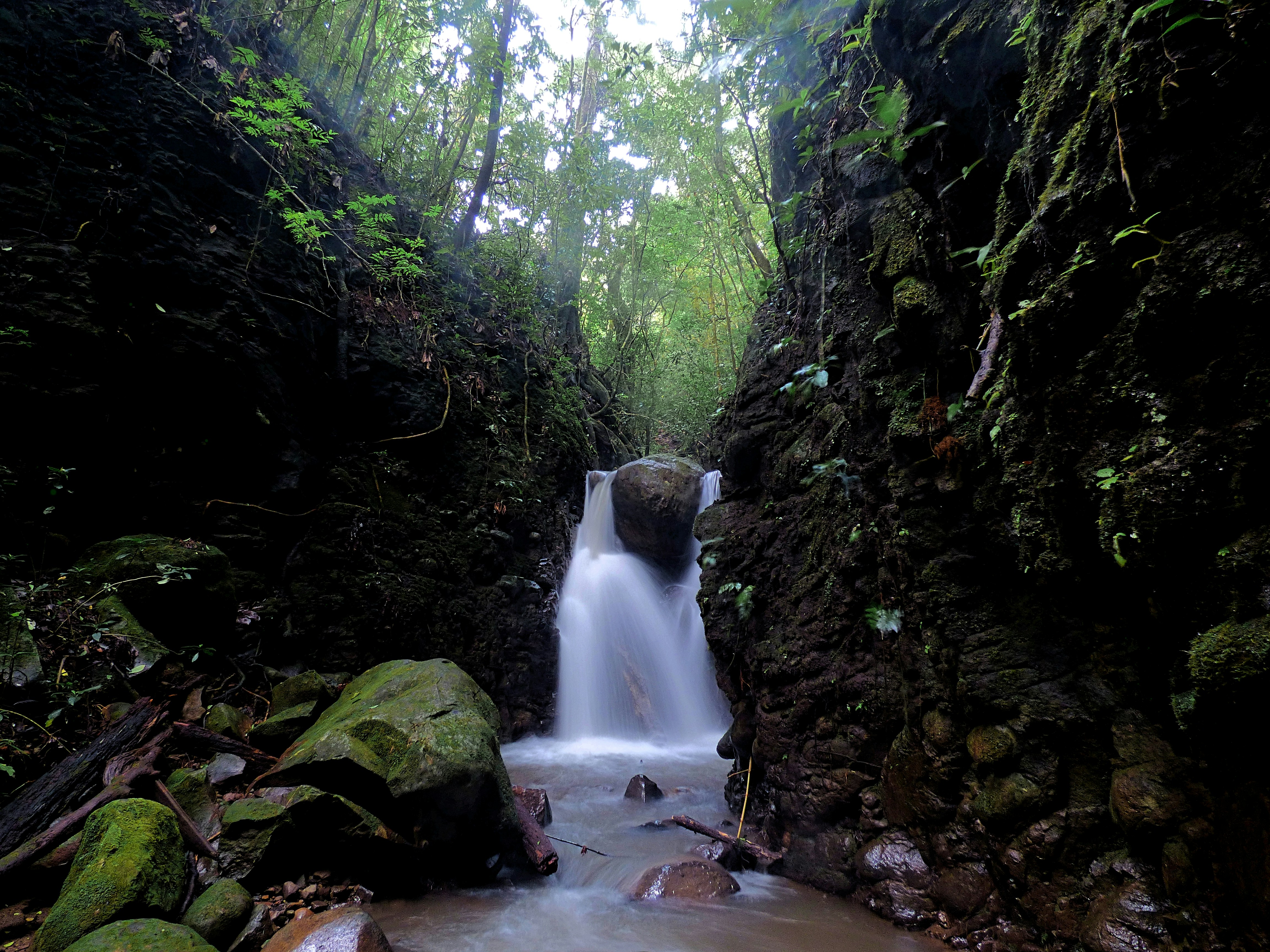 Photo by sweetywilson