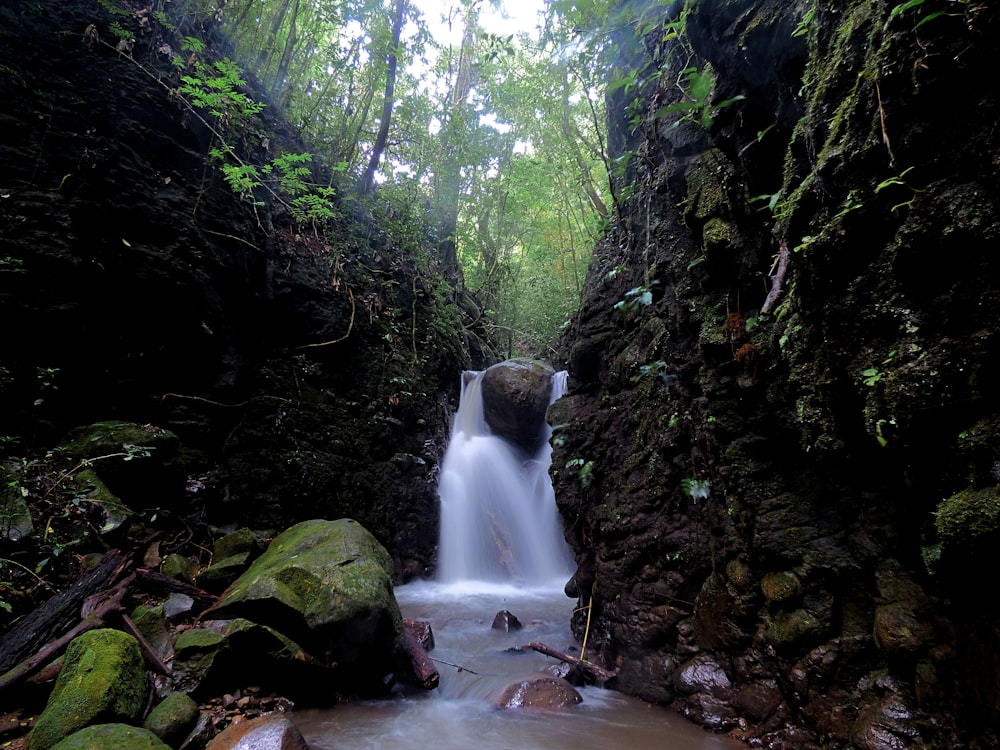 a small waterfall in the middle of a forest