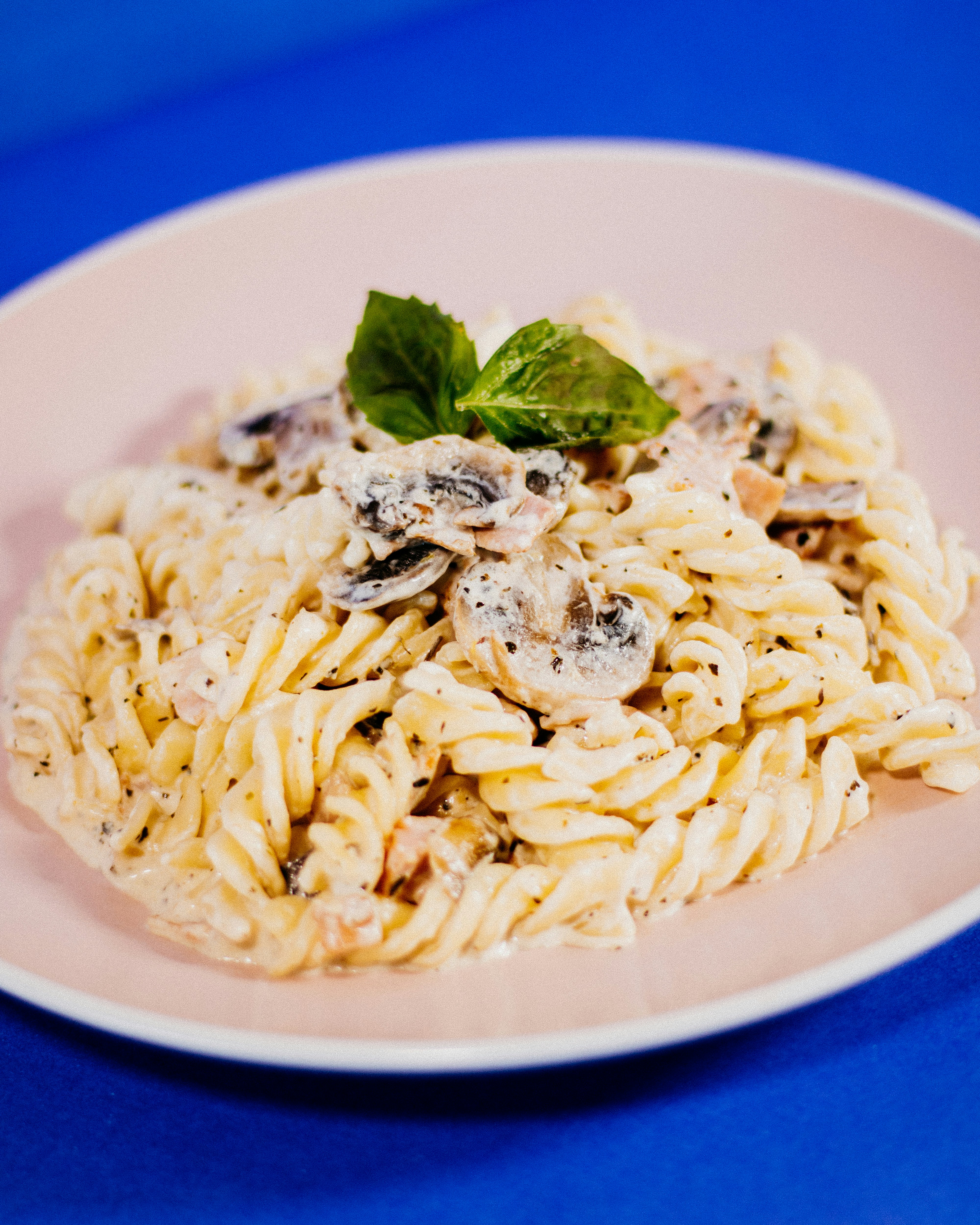 Photo by oscareduardohr