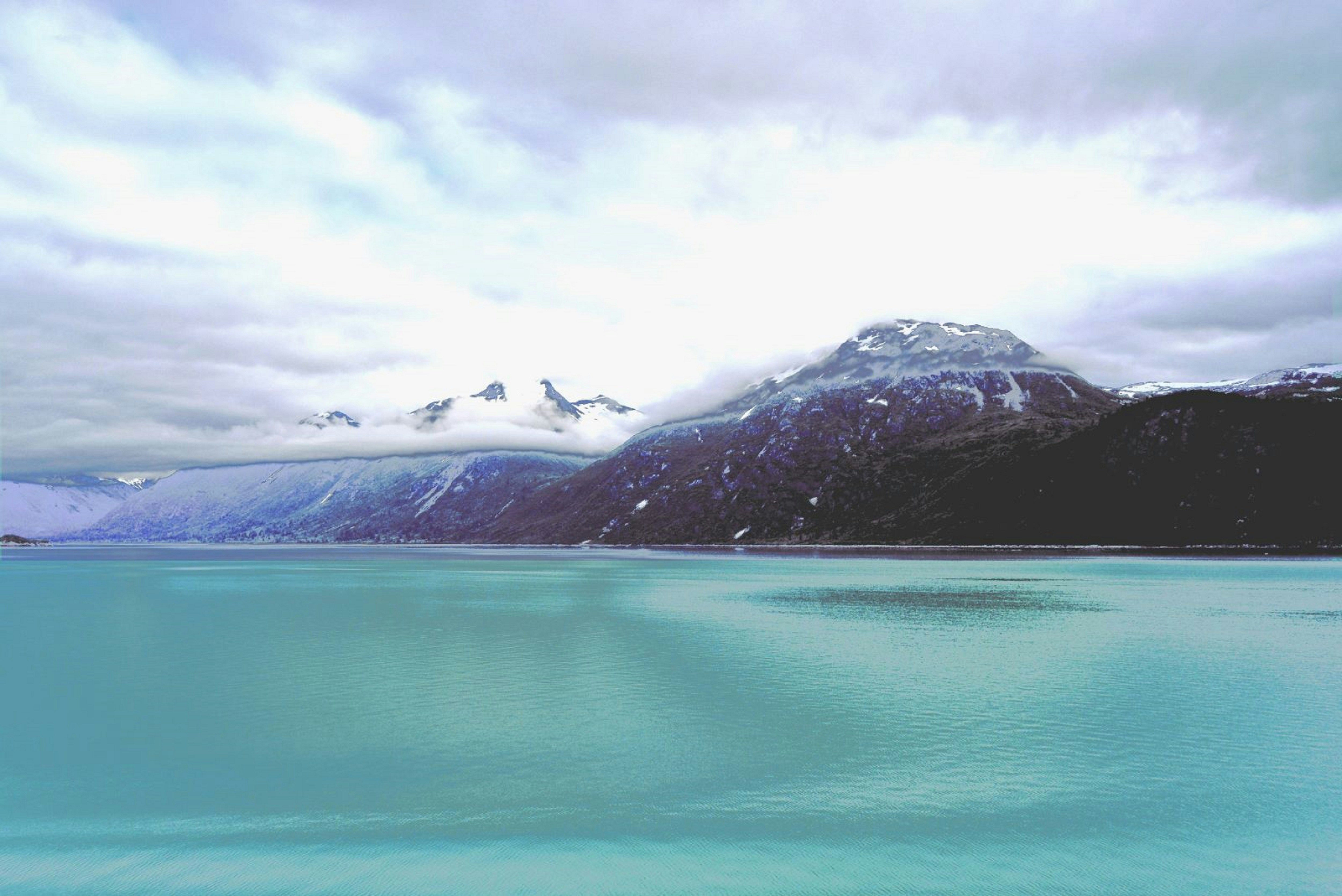 Photo by mento_overlowd