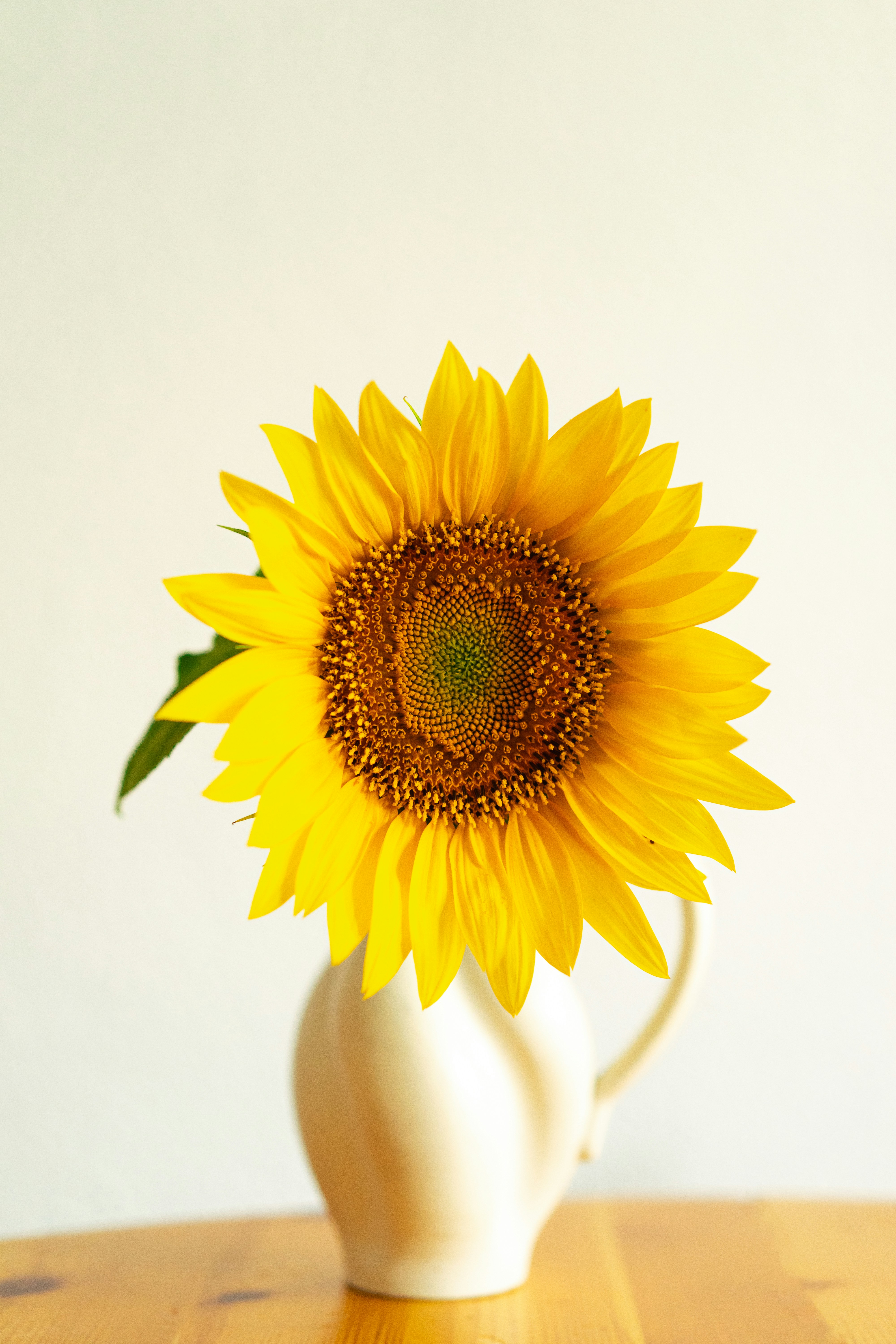 Photo by francescafrann