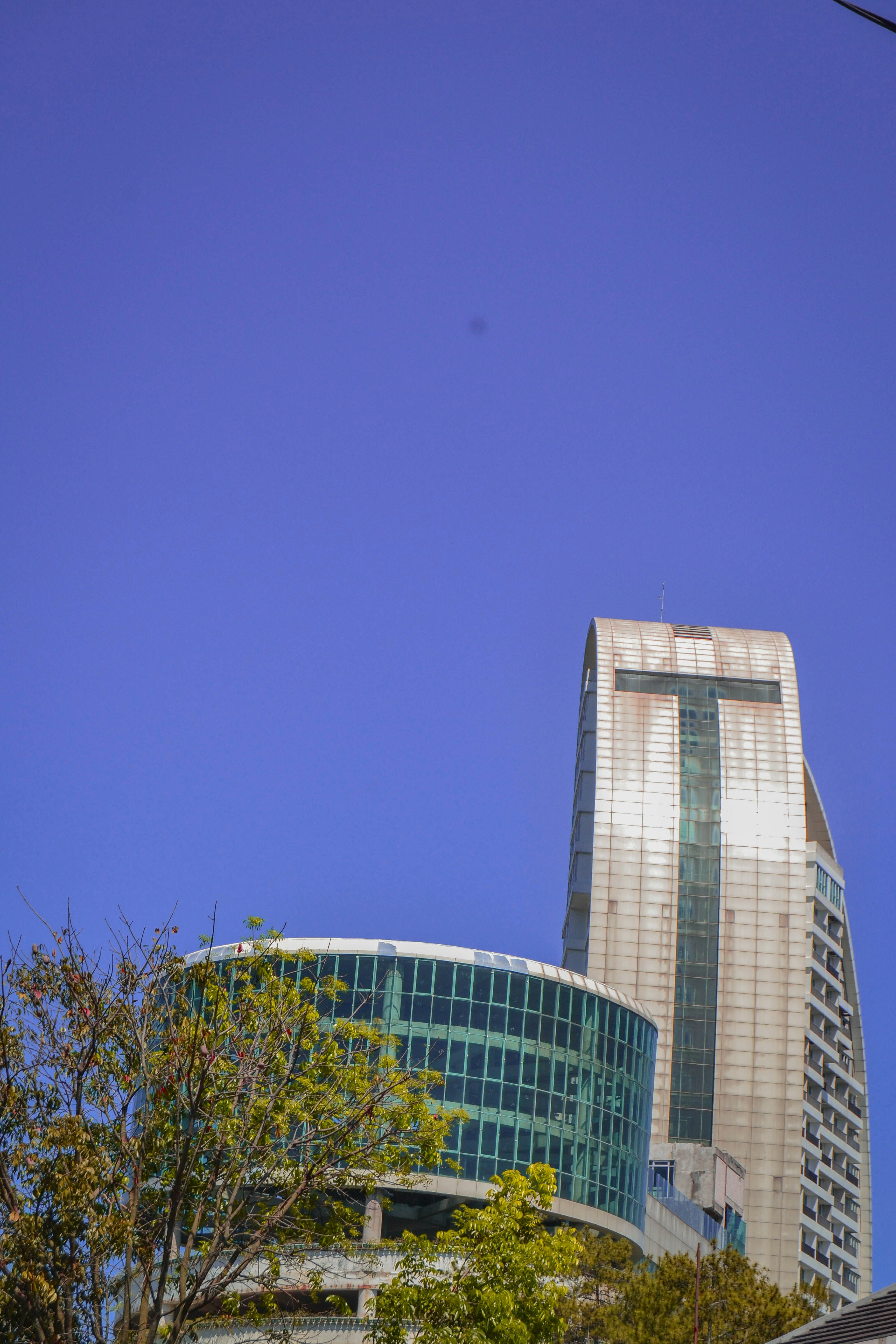 Photo by irene_arbintha