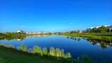 A serene lake within the society reflecting the clear blue sky and nearby trees.