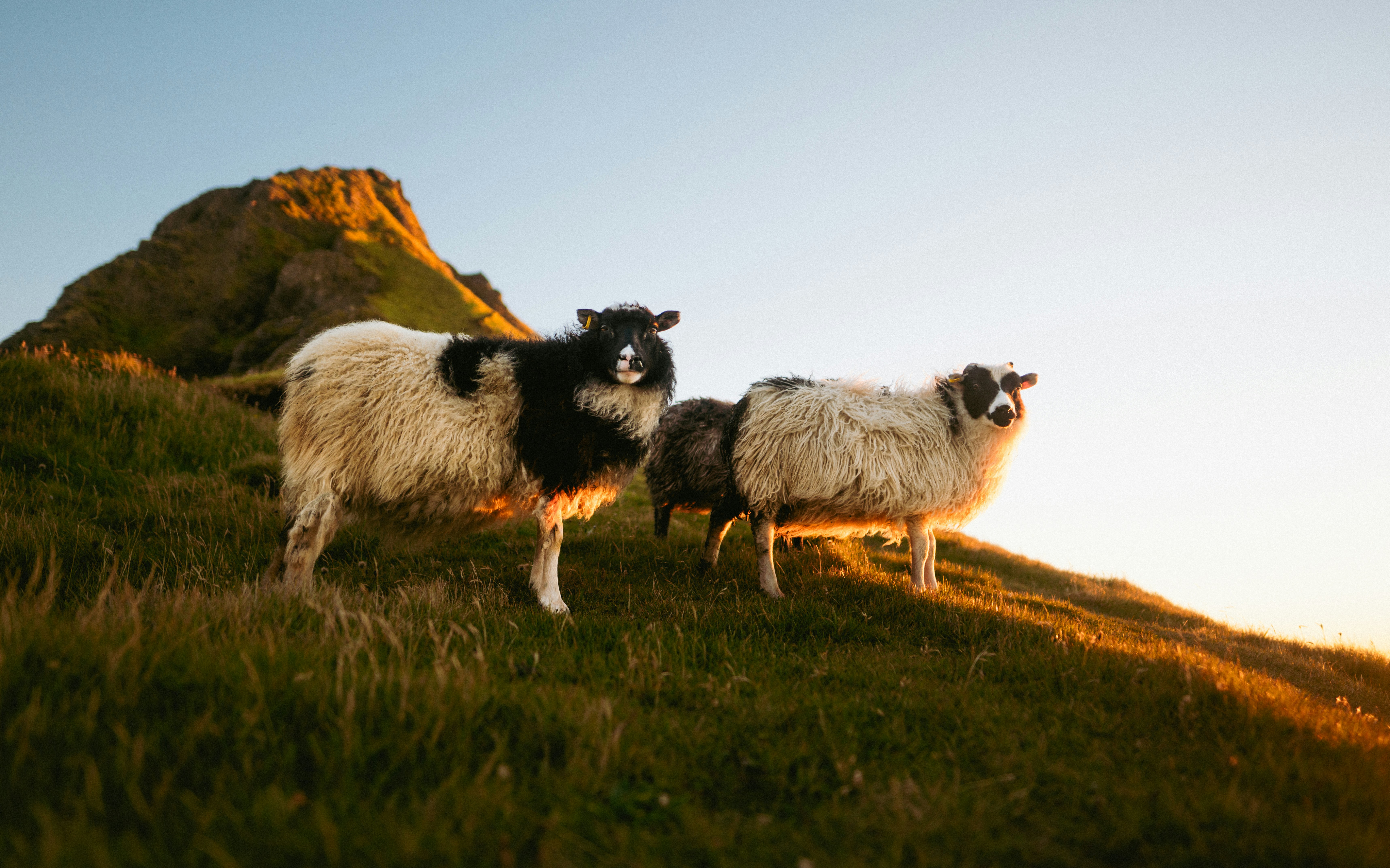 Photo by ericmattt