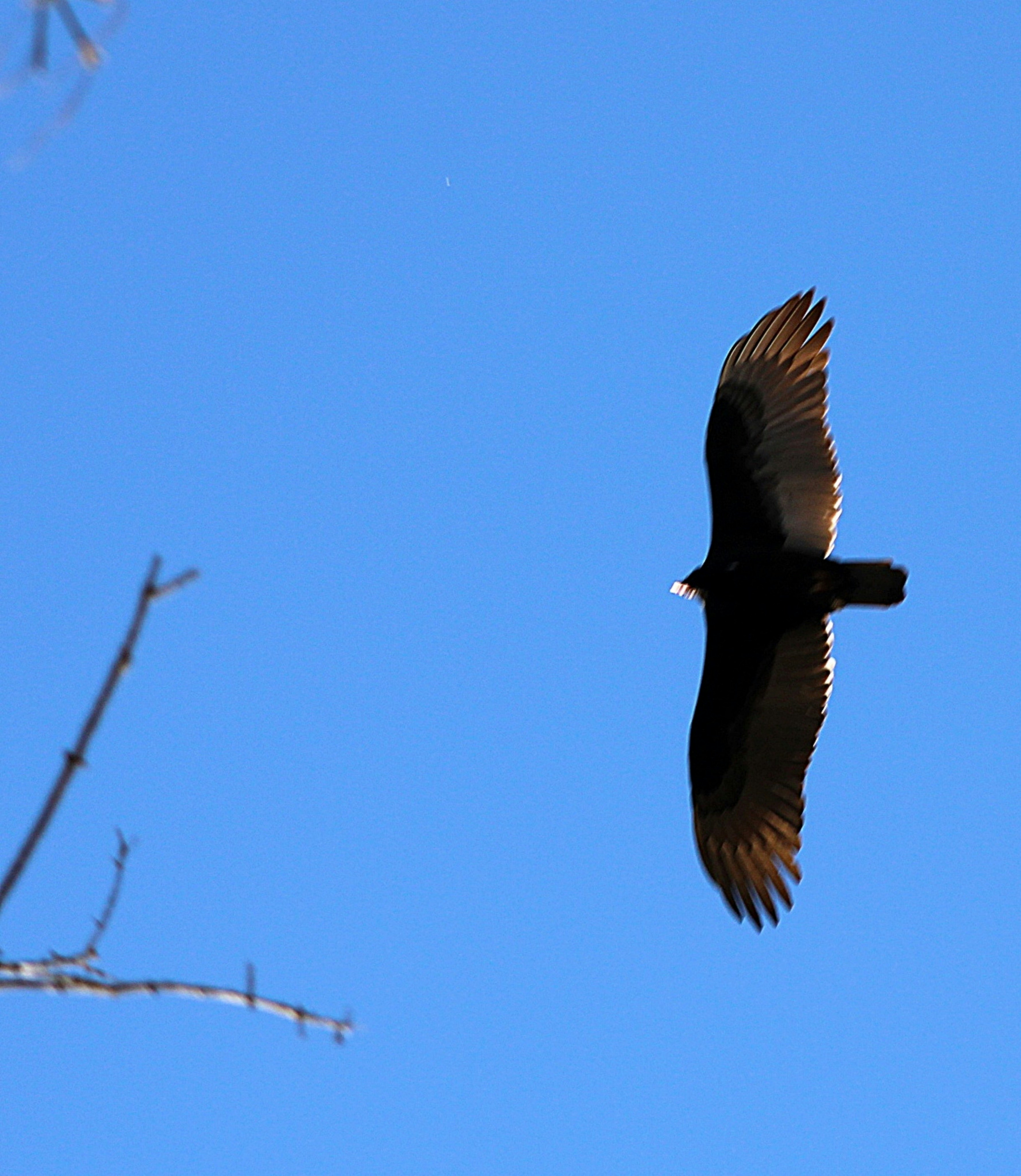 Photo by charles_ray