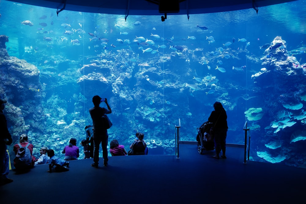 a group of people standing in front of a large aquarium