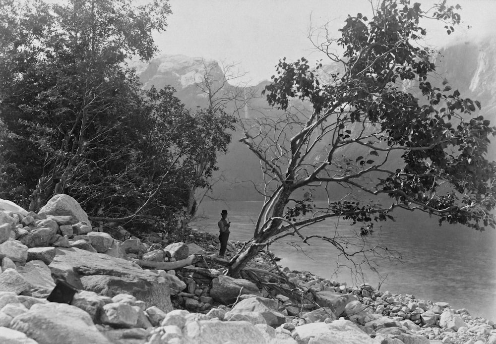 a man standing next to a tree on a rocky shore