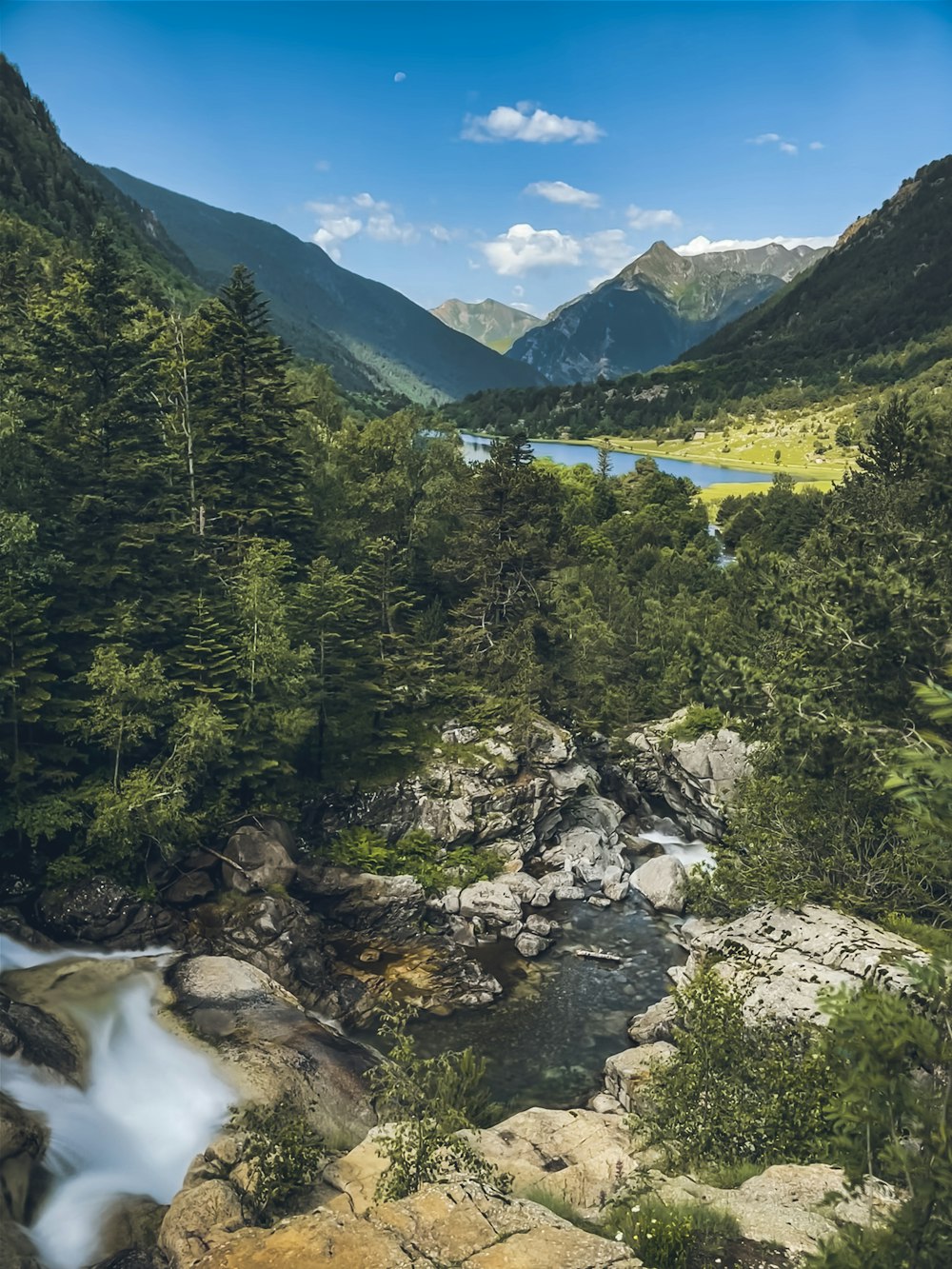 a river running through a lush green forest