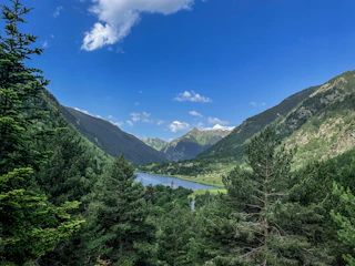 A serene valley view in Kashmir with lush green meadows and mountains under a clear blue sky.