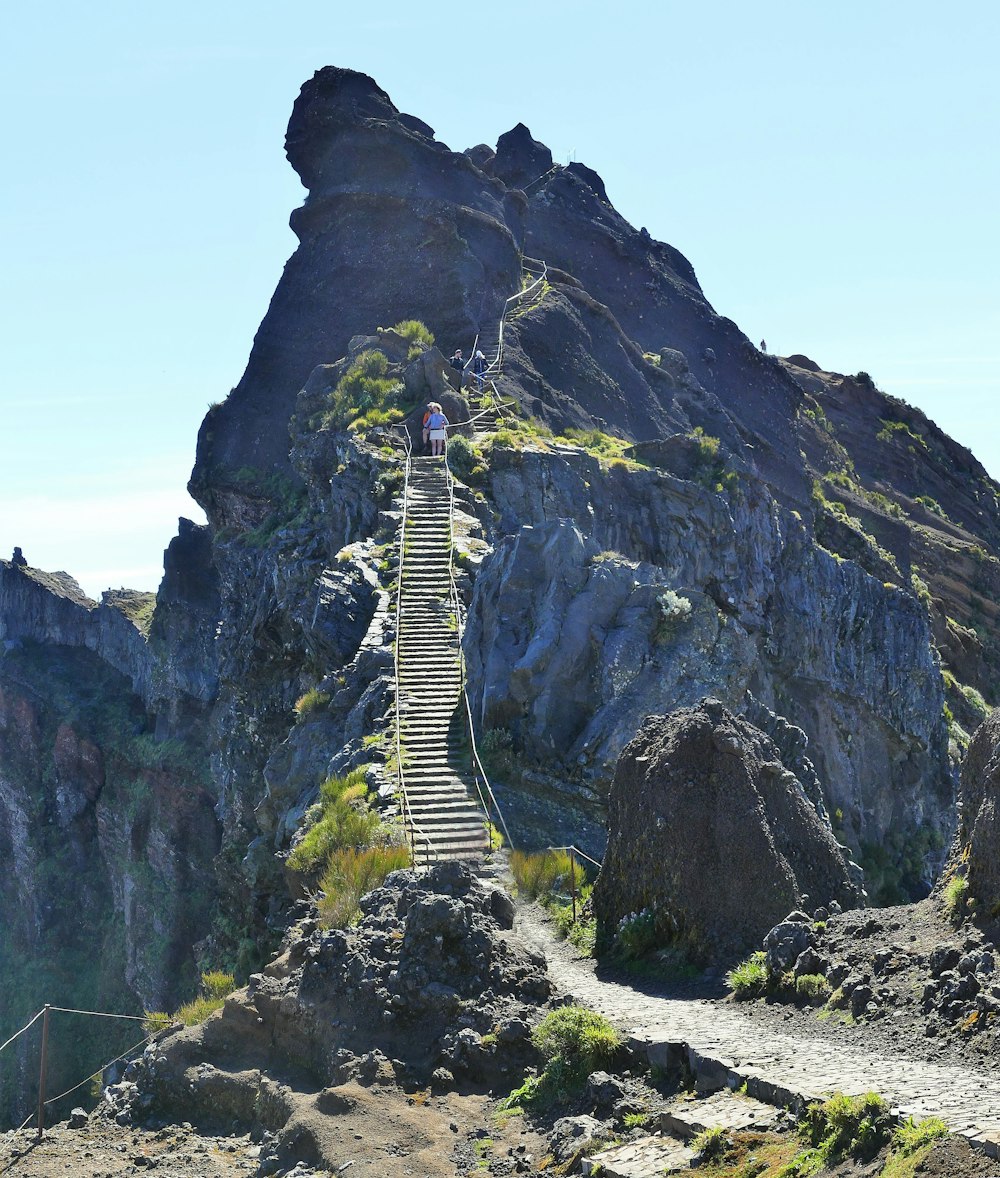 a long wooden staircase going up a mountain