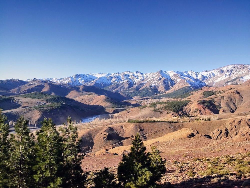 a scenic view of a valley with mountains in the background