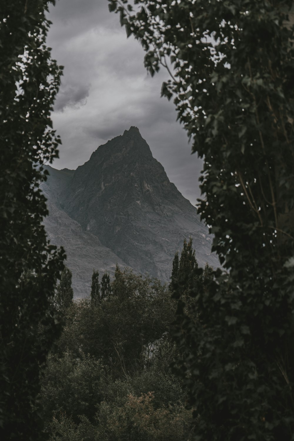 a view of a mountain through some trees