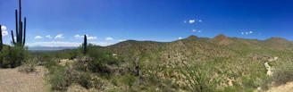 A vast desert landscape with rolling hills and sparse vegetation. Tall cactus plants, probably saguaros, punctuate the arid terrain, which is dominated by shrubs and sandy soil. A clear blue sky stretches overhead, with a few scattered white clouds.