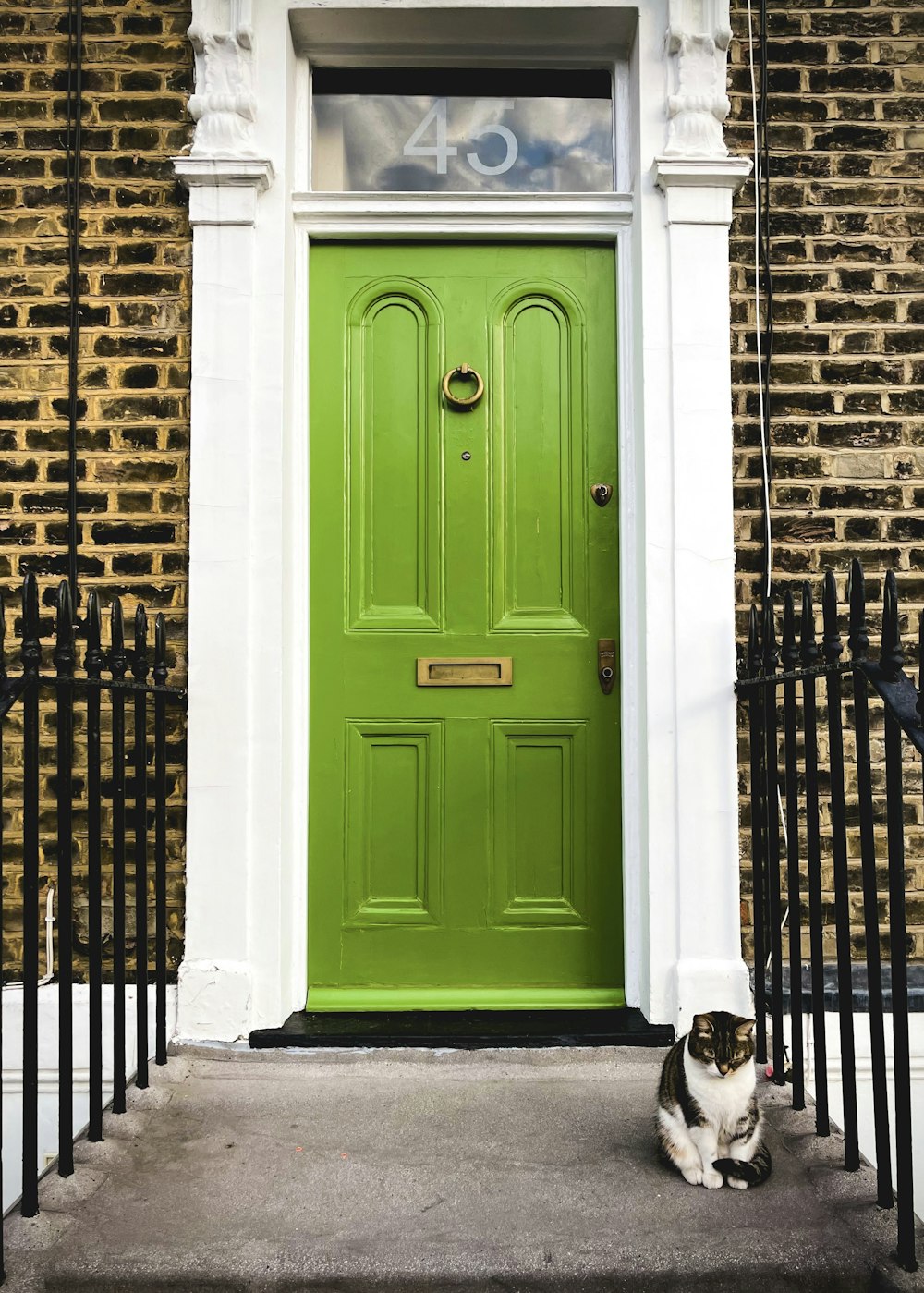 a cat sitting in front of a green door