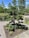 A well-maintained garden features a small, beautifully shaped conifer tree planted in a square plot surrounded by a pebble pathway. The lush greenery includes various shrubs and plants. Tall deciduous trees in the background add depth to the scene under the bright blue sky.