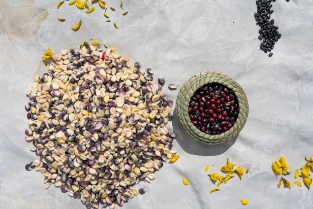 A collection of various seeds and grains spread on a light-colored surface, with a small woven basket filled with red and black seeds. Scattered around are yellow flower petals.