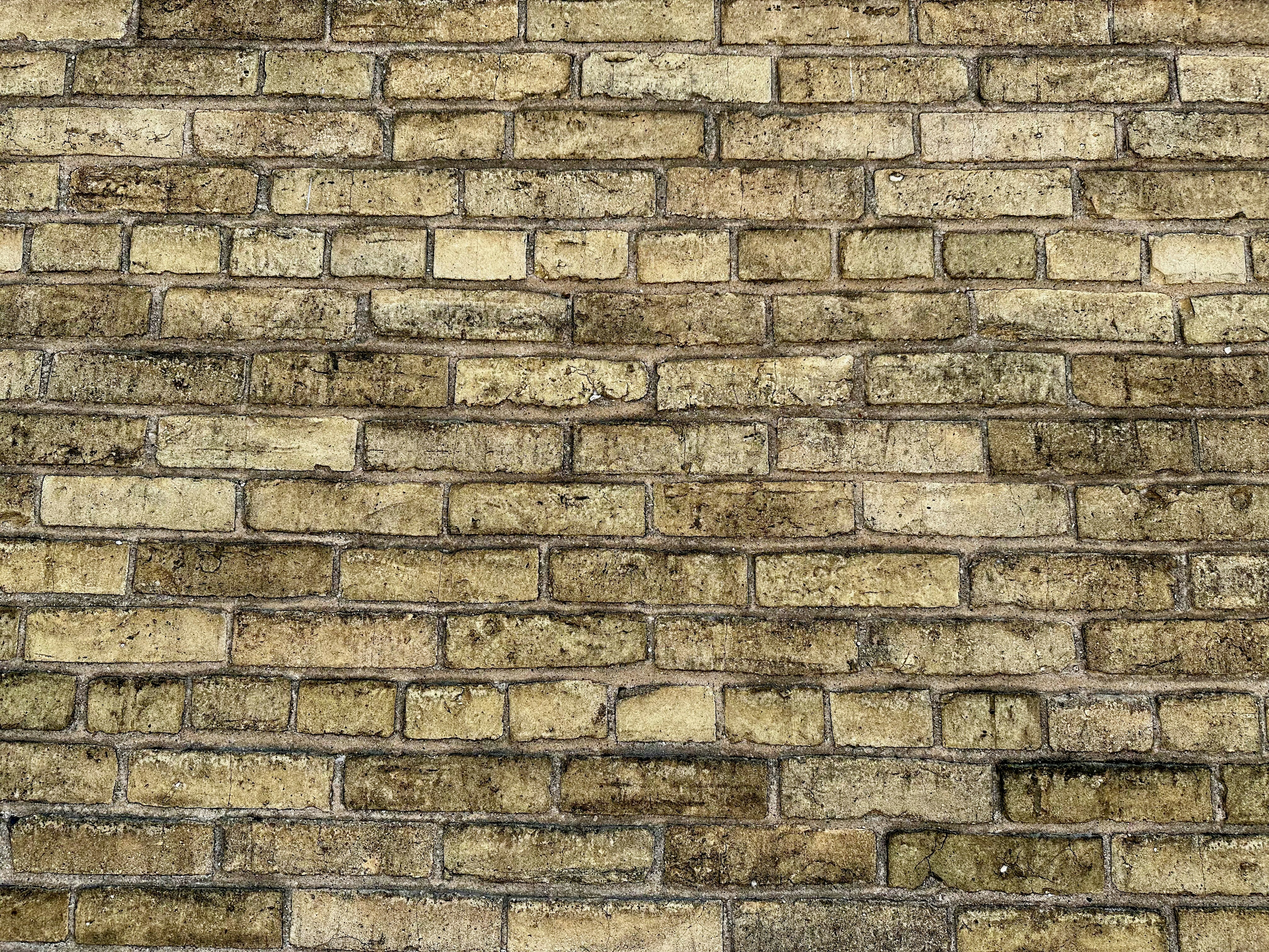 Photo by midkiffaries