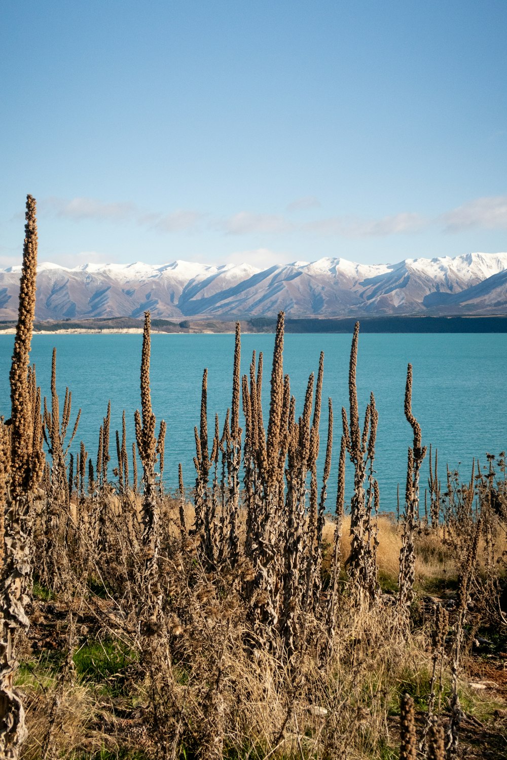 a large body of water with mountains in the background