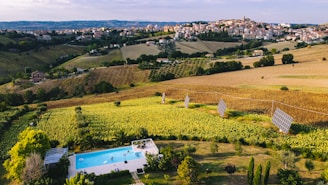 an aerial view of a swimming pool with solar panels powering the pump