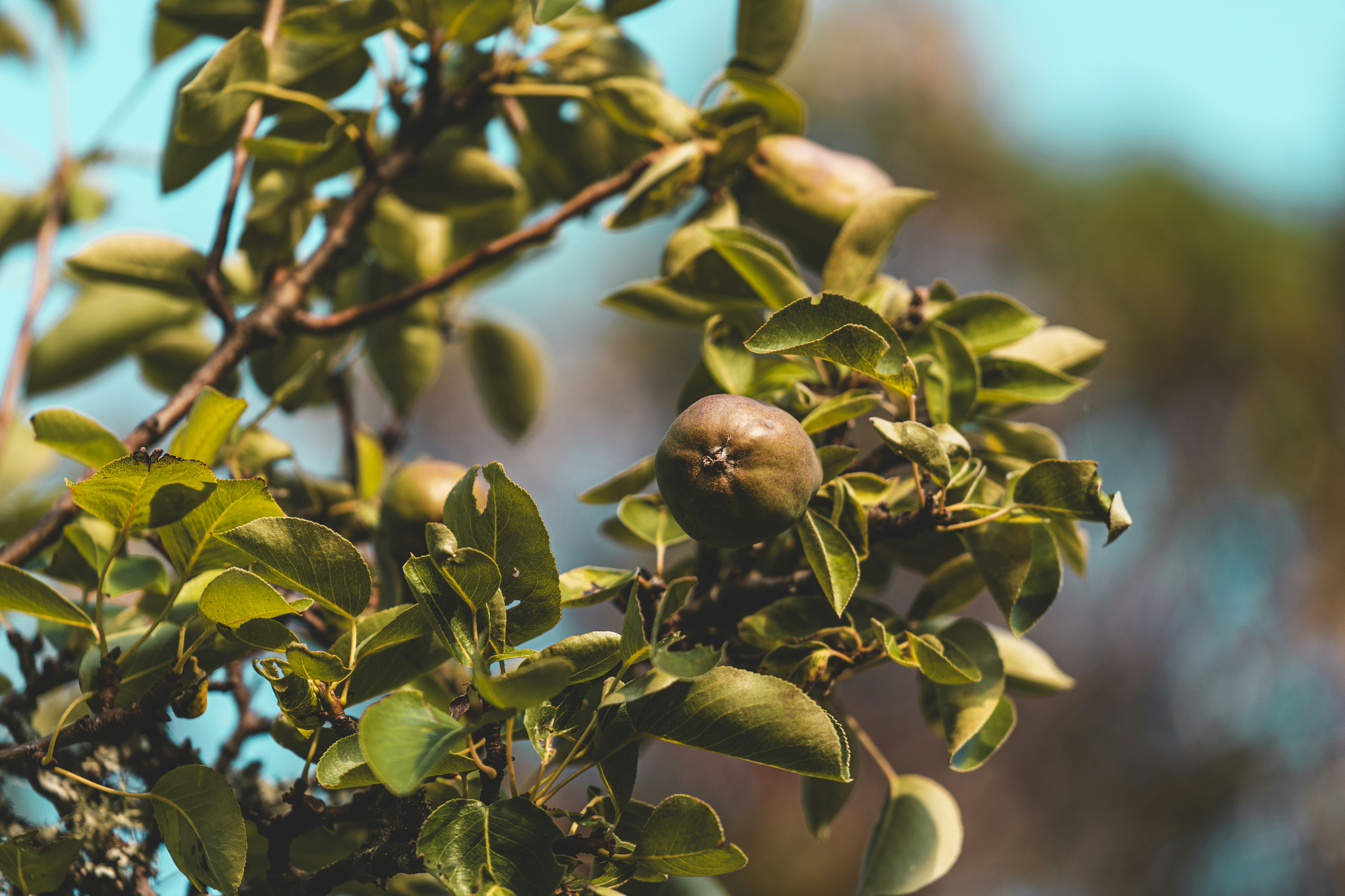 Photo by jaspergarrattphotography