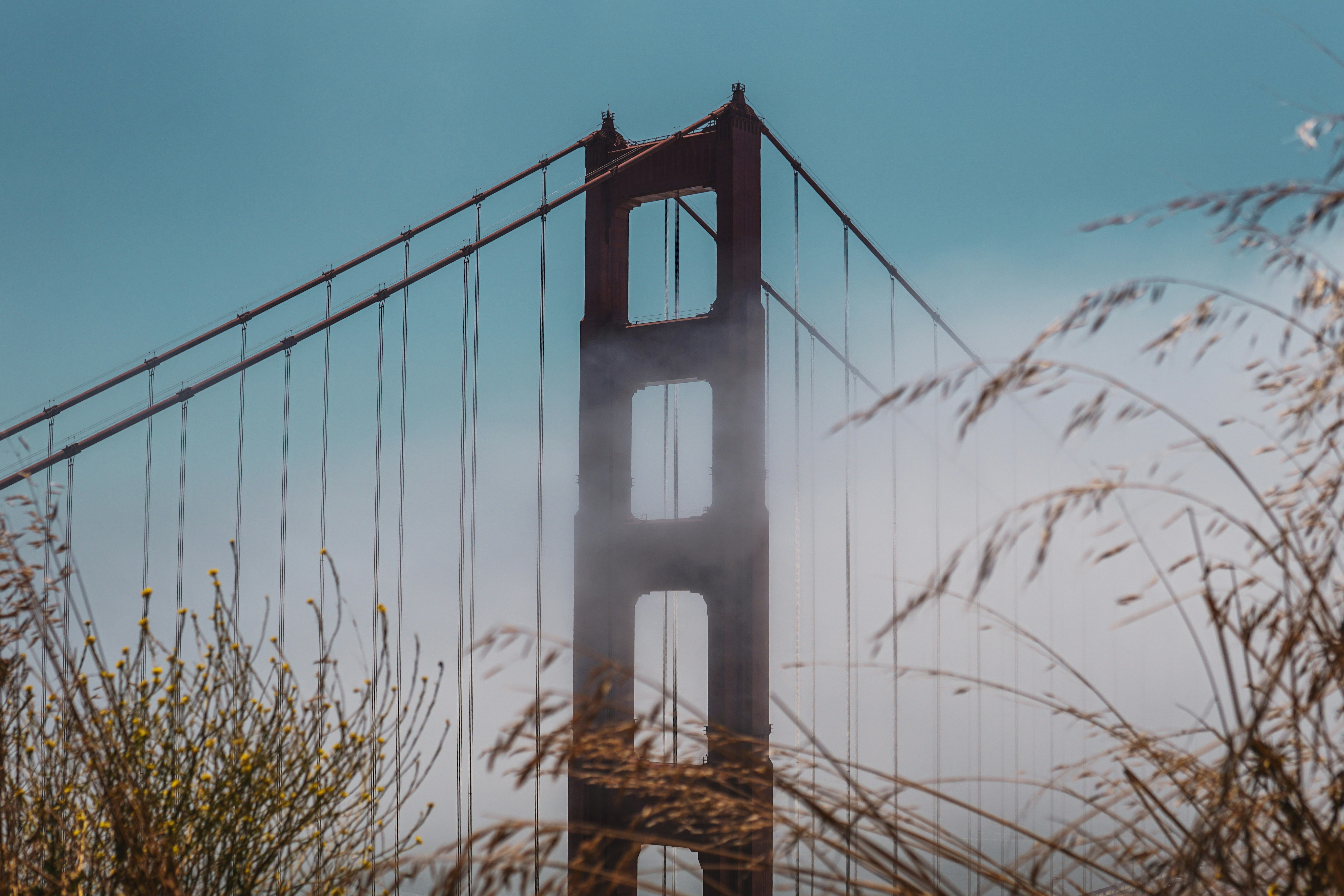 Photo by nick_moellenbeck