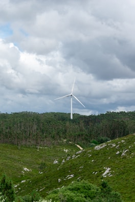 Technicians inspecting wind turbines surrounded by lush greenery.