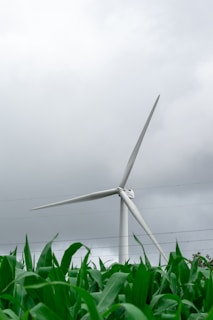 A large wind turbine stands tall against a cloudy sky, surrounded by lush green leaves of plants in the foreground. The turbine's blades are wide and evenly spaced, casting a modern and sleek silhouette.