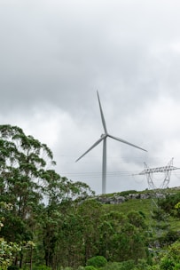 A large wind turbine stands tall against an overcast sky, surrounded by lush green trees and foliage. In the background, a power line tower is visible, stretching across the landscape.