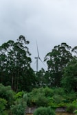 A tall wind turbine stands amidst a dense forest of green, leafy trees under an overcast sky.