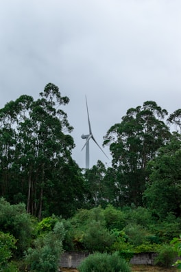 A tall wind turbine stands amidst a dense forest of green, leafy trees under an overcast sky.