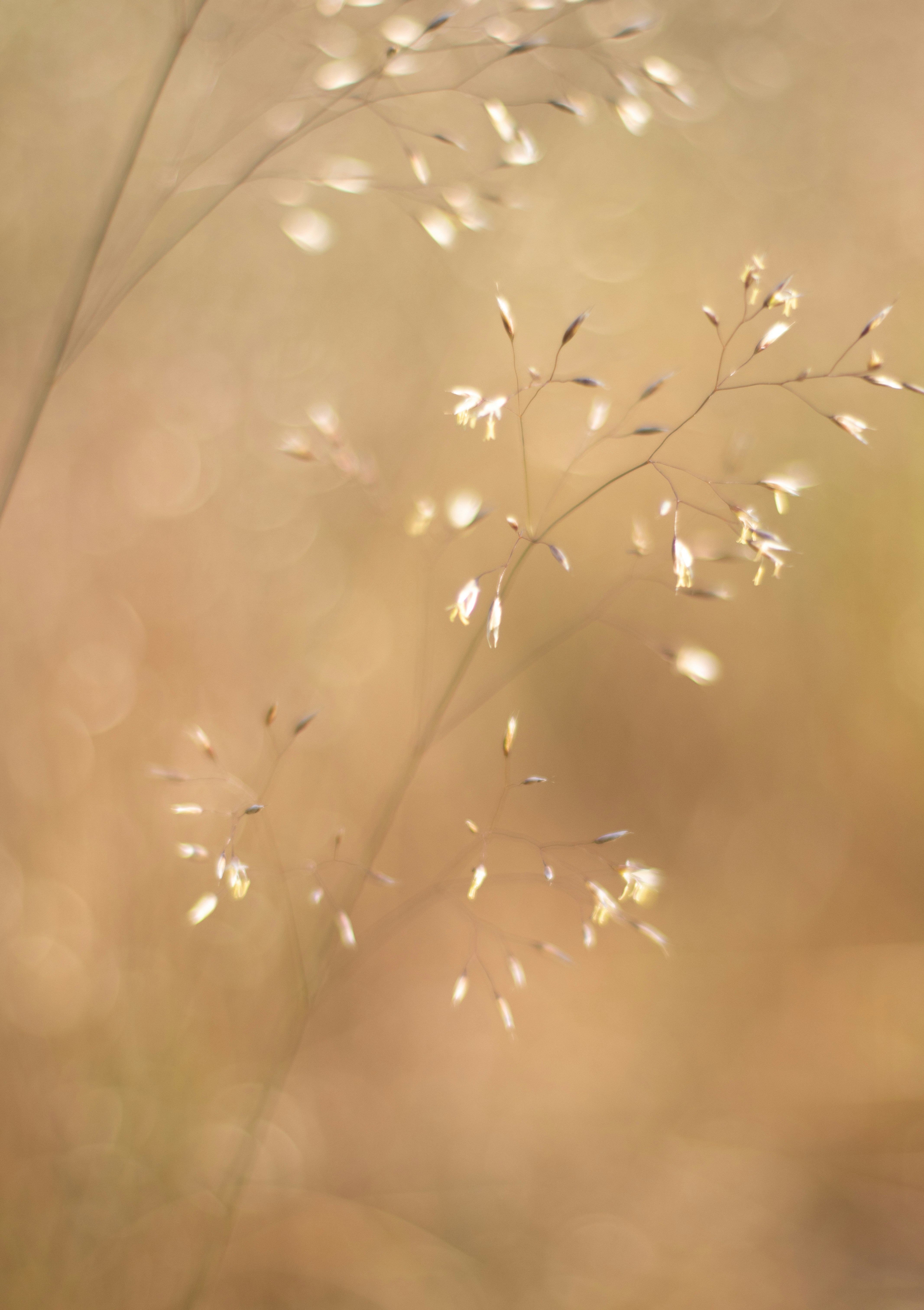 Photo by karinatrinidad