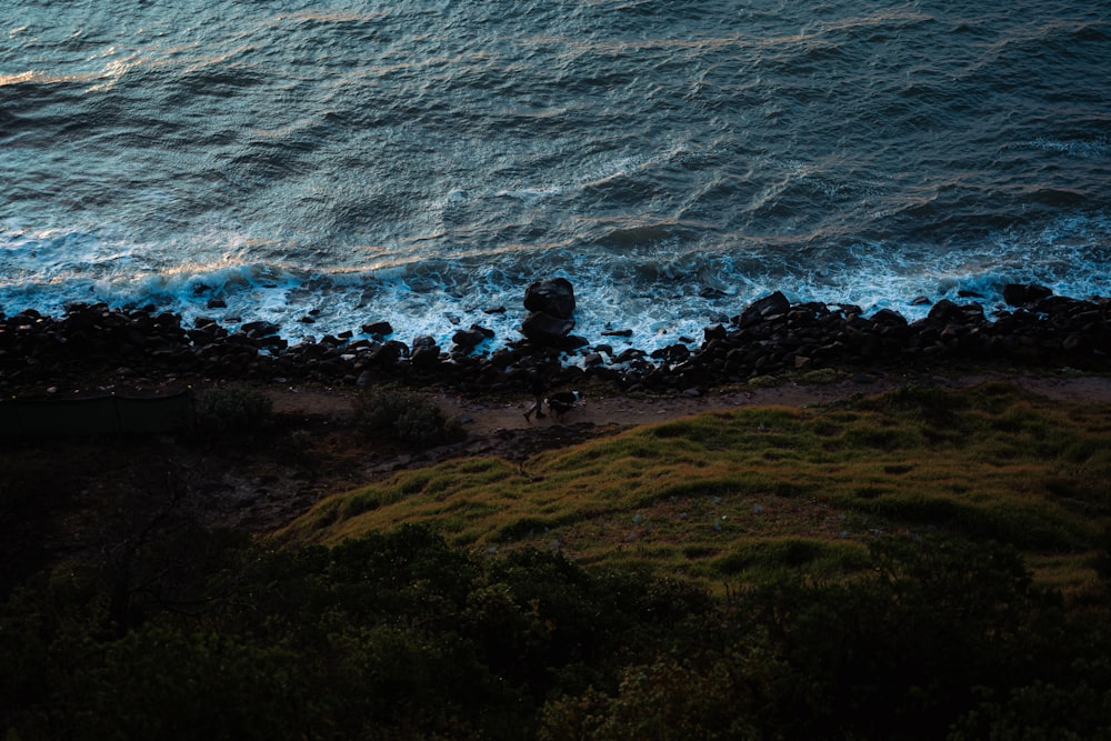 a man riding a bike down a hill next to the ocean