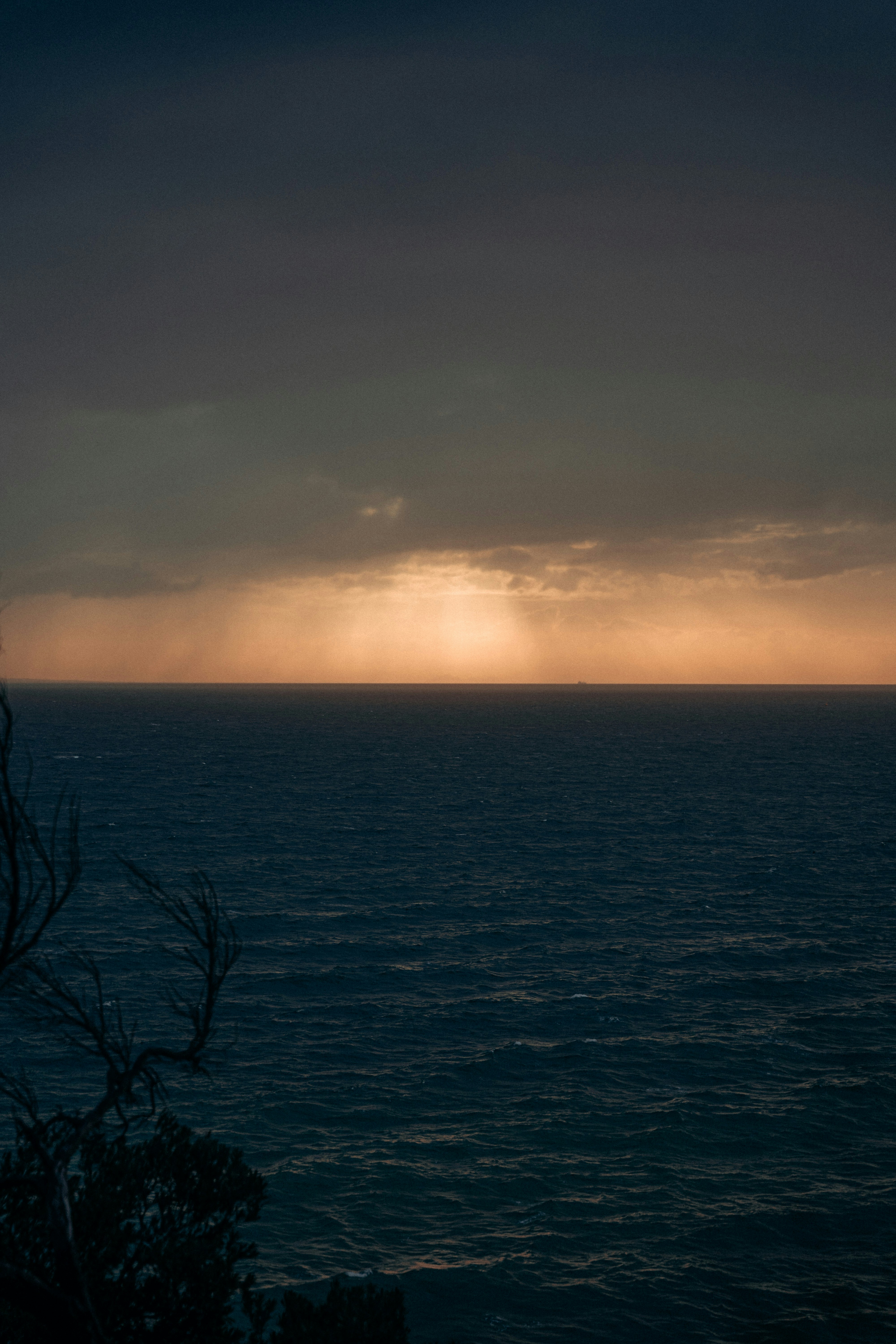 Photo by yigitarisoy