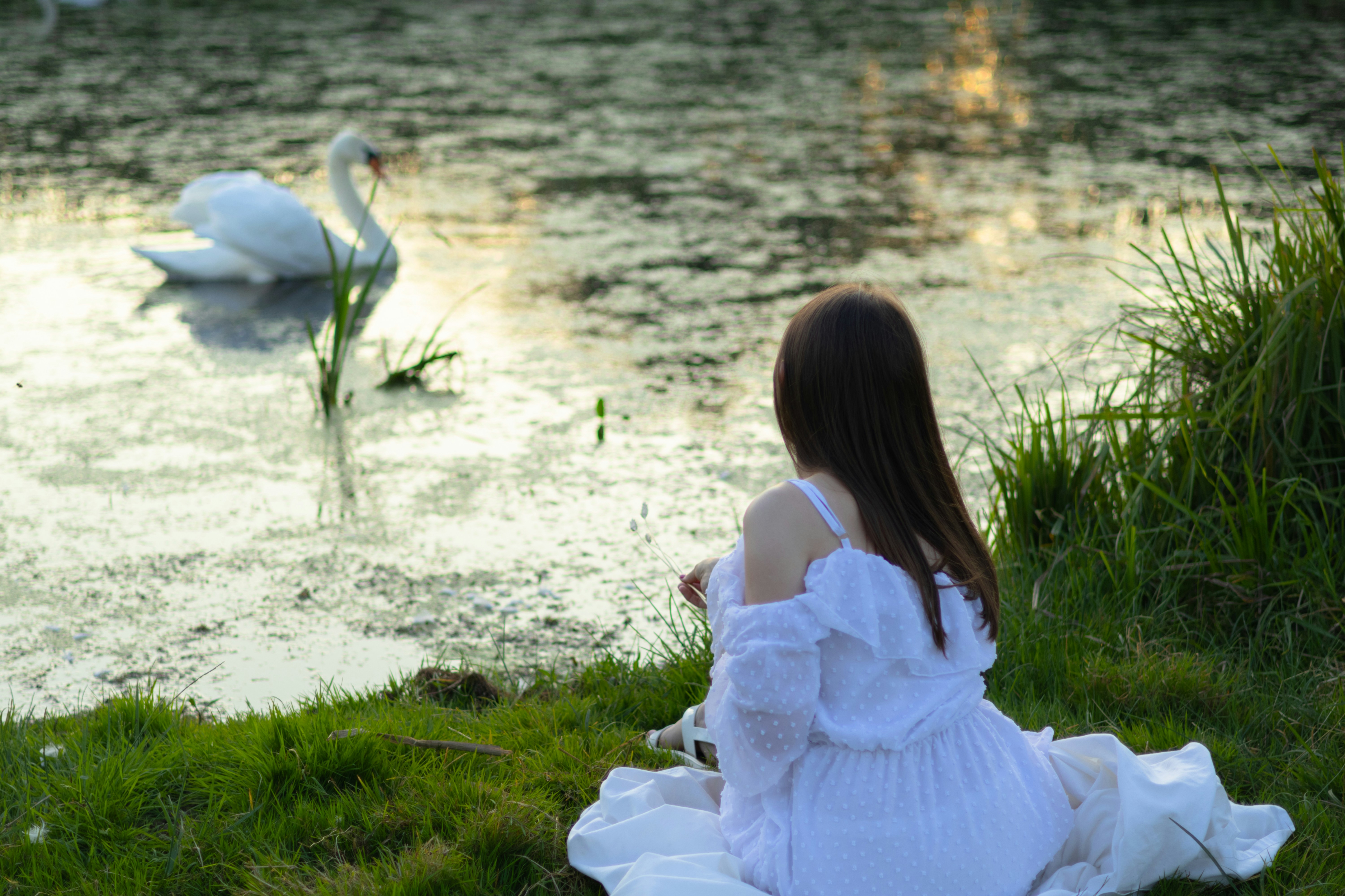 Girl watching swan