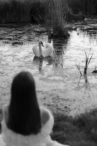 A serene portrait of t.h.e. swan seated by a window with soft blue curtains, pen in hand, surrounded by stacks of notebooks.