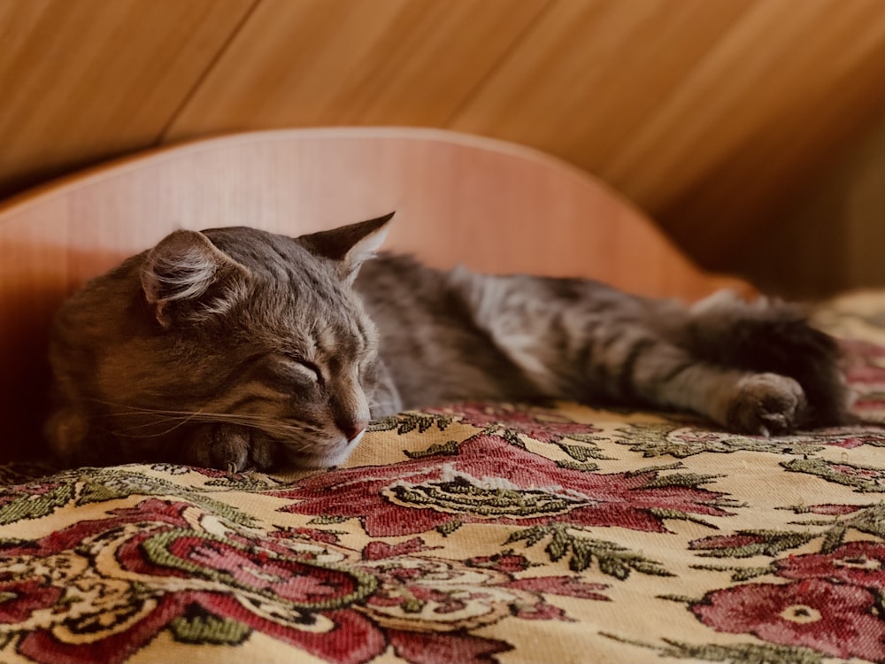 a cat sleeping on a bed with a wooden head board