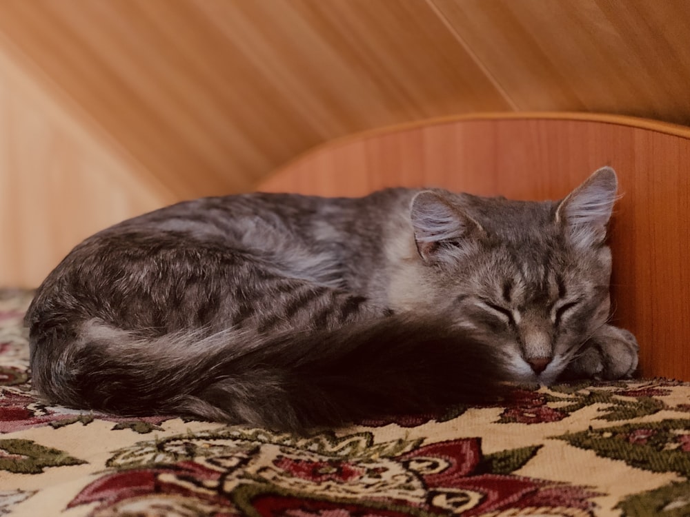 a cat sleeping on a bed with a wooden head board