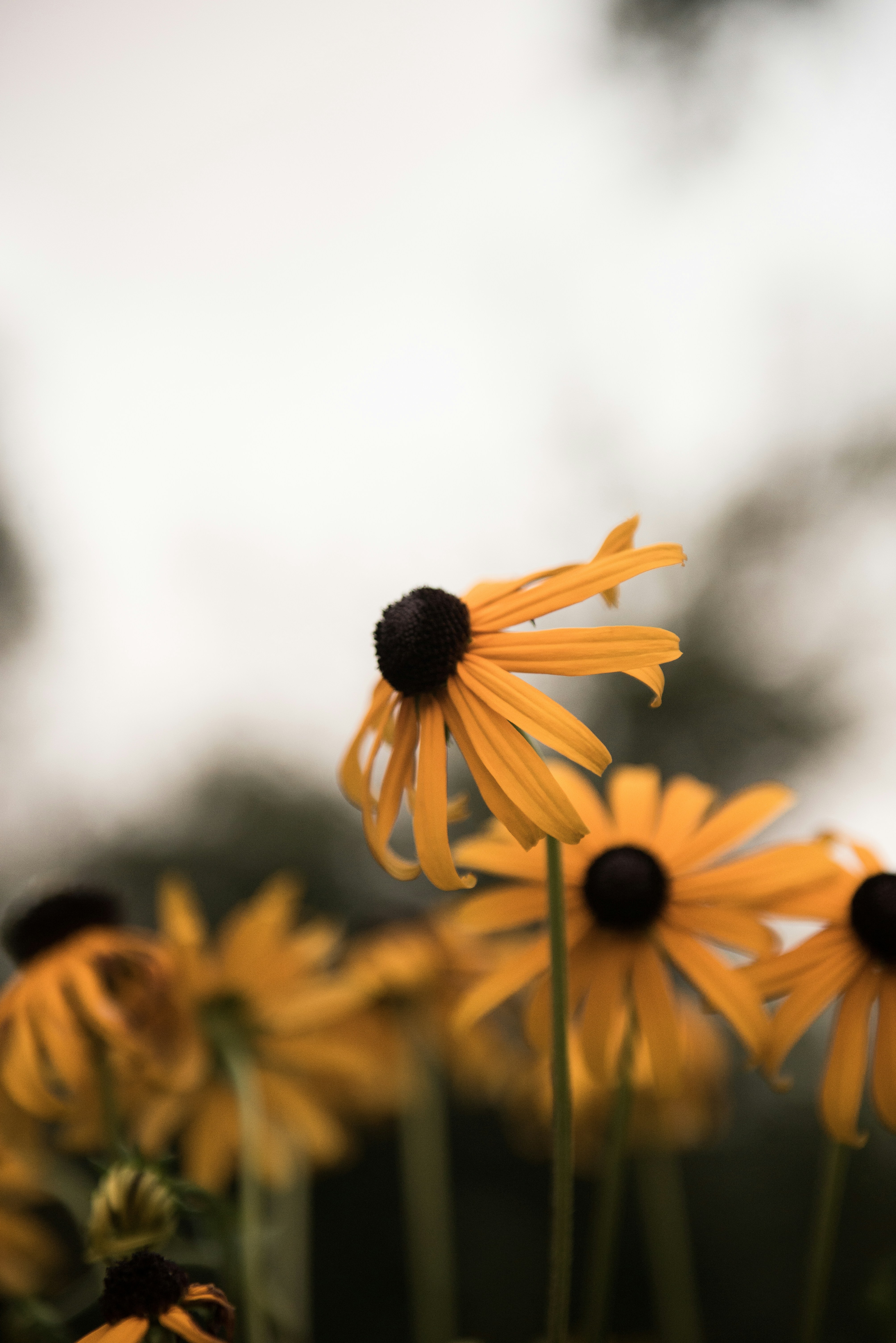 Photo by sadiecoulter