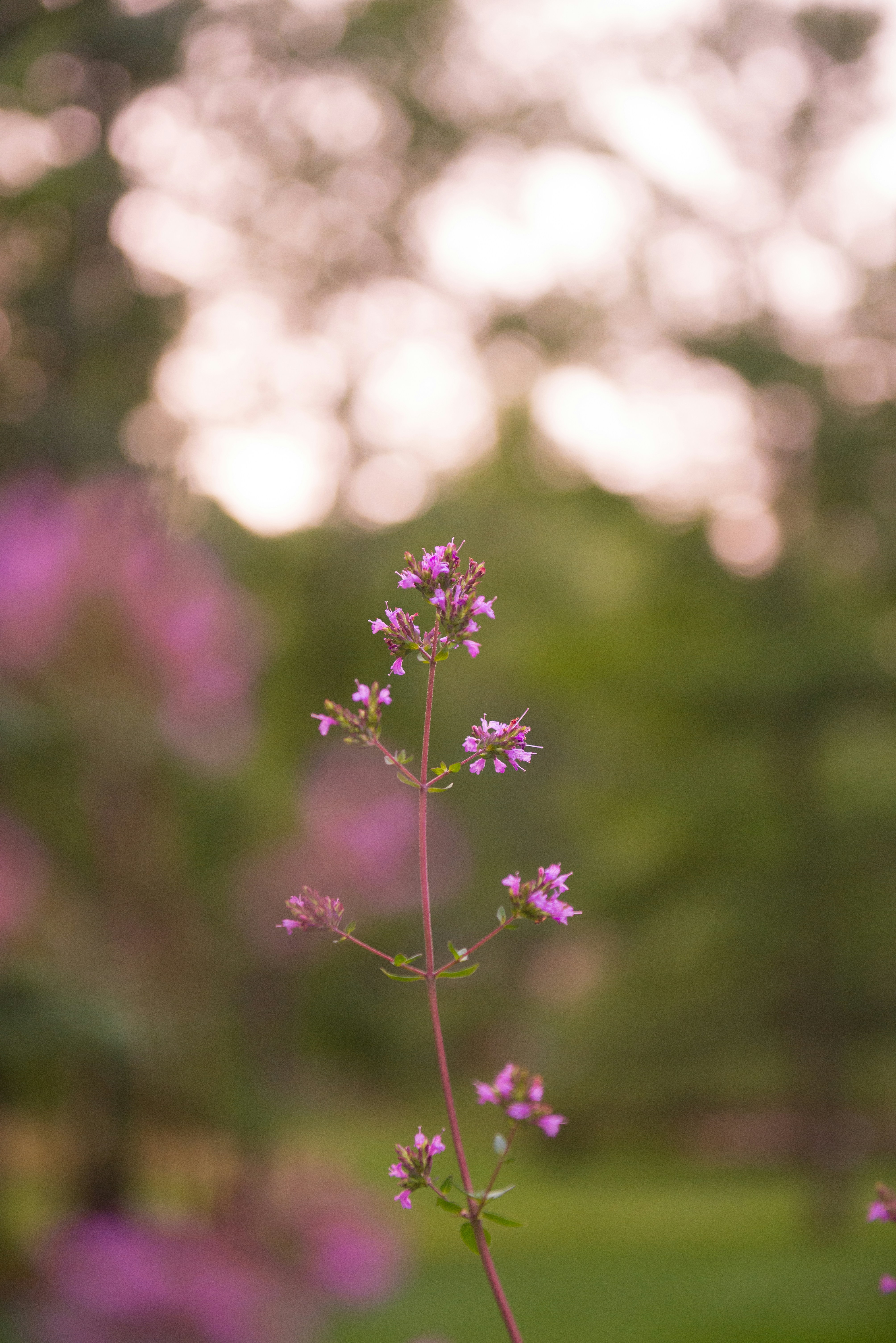 Photo by sadiecoulter