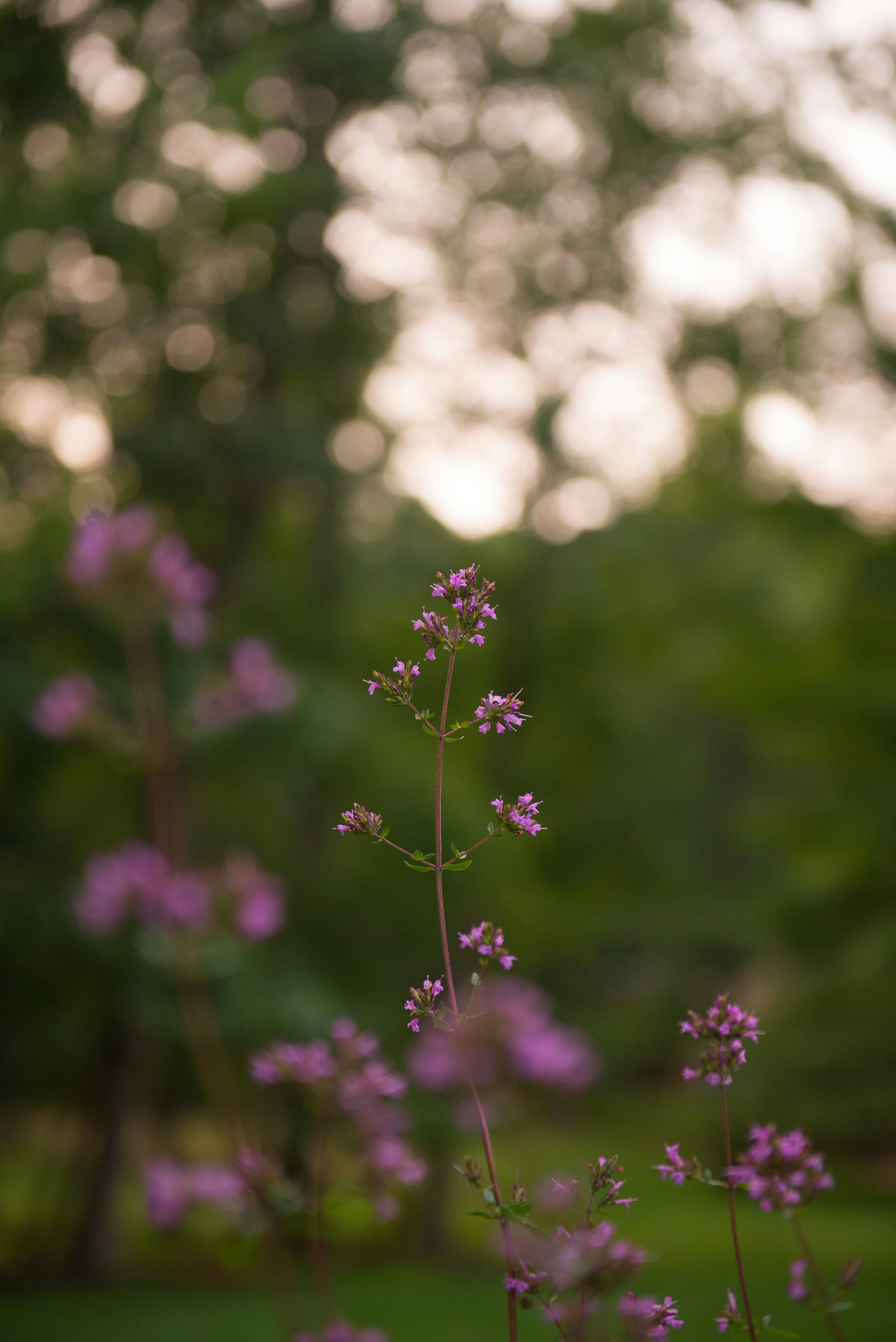 Photo by sadiecoulter