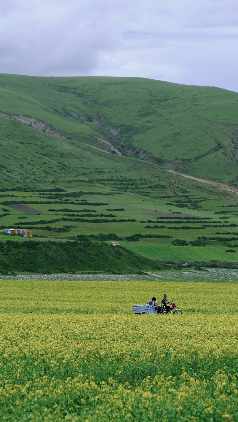 a couple of people in a small boat in the middle of a field