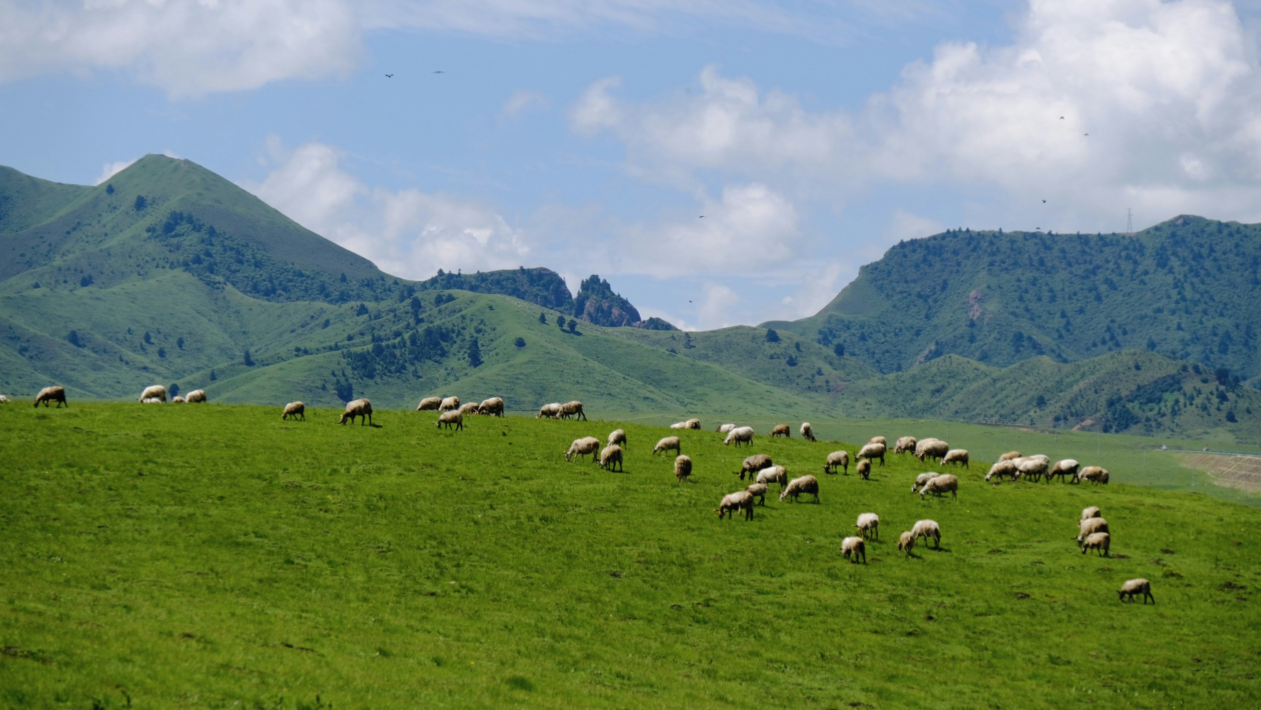 Photo by pestahdurbs