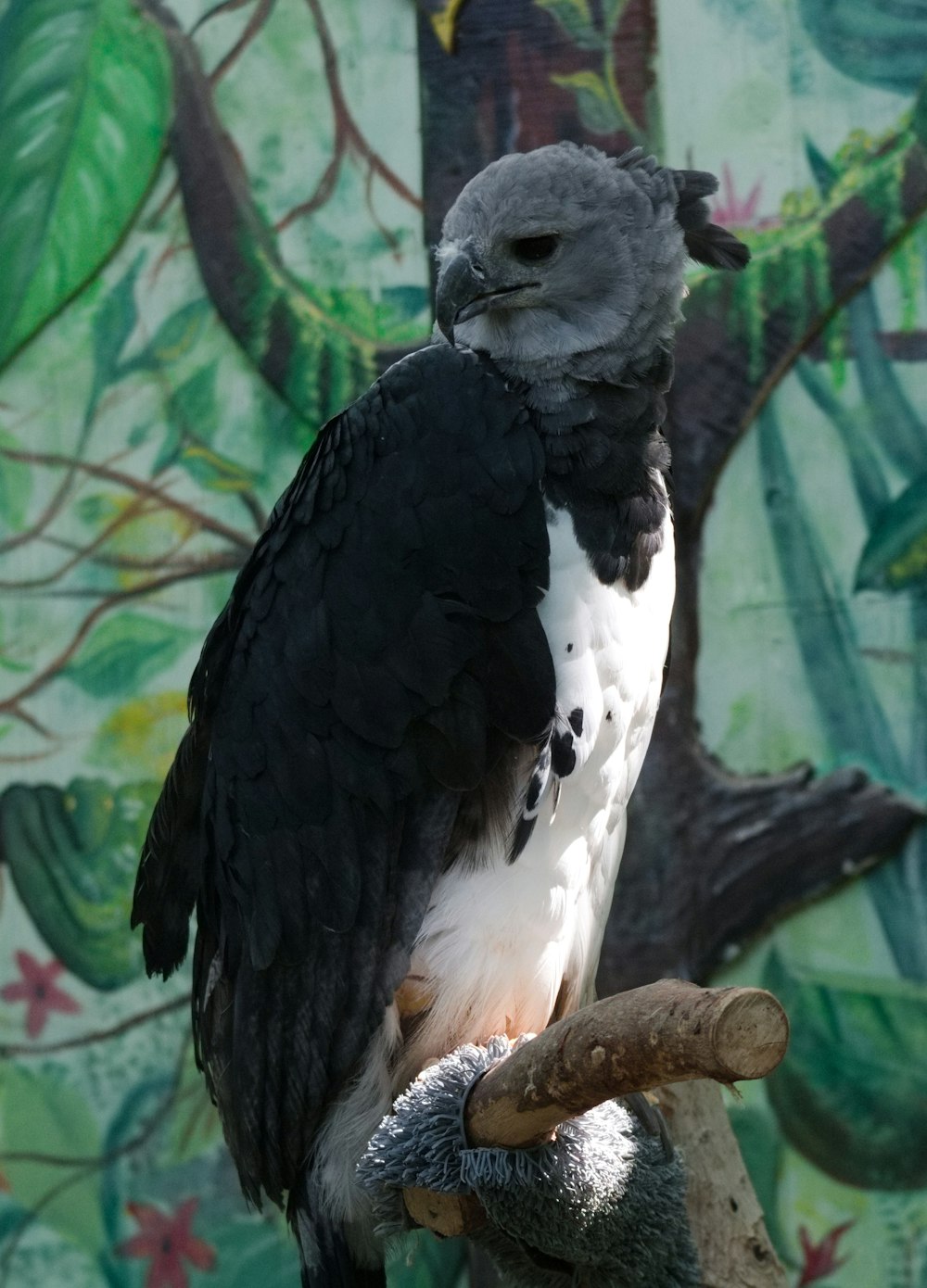 a large bird perched on top of a tree branch