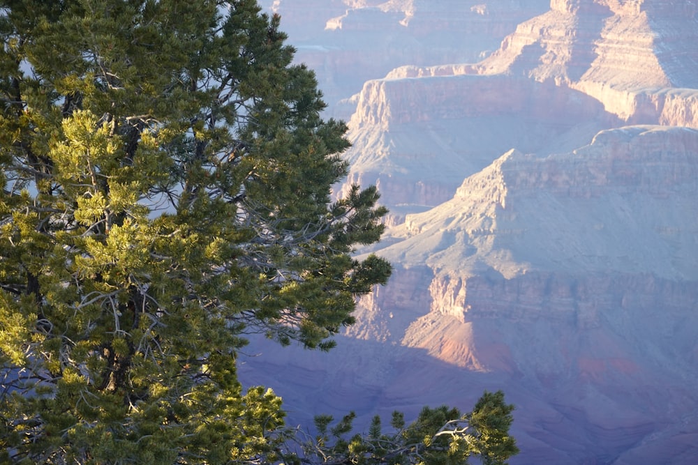Una vista del Grand Canyon da lontano