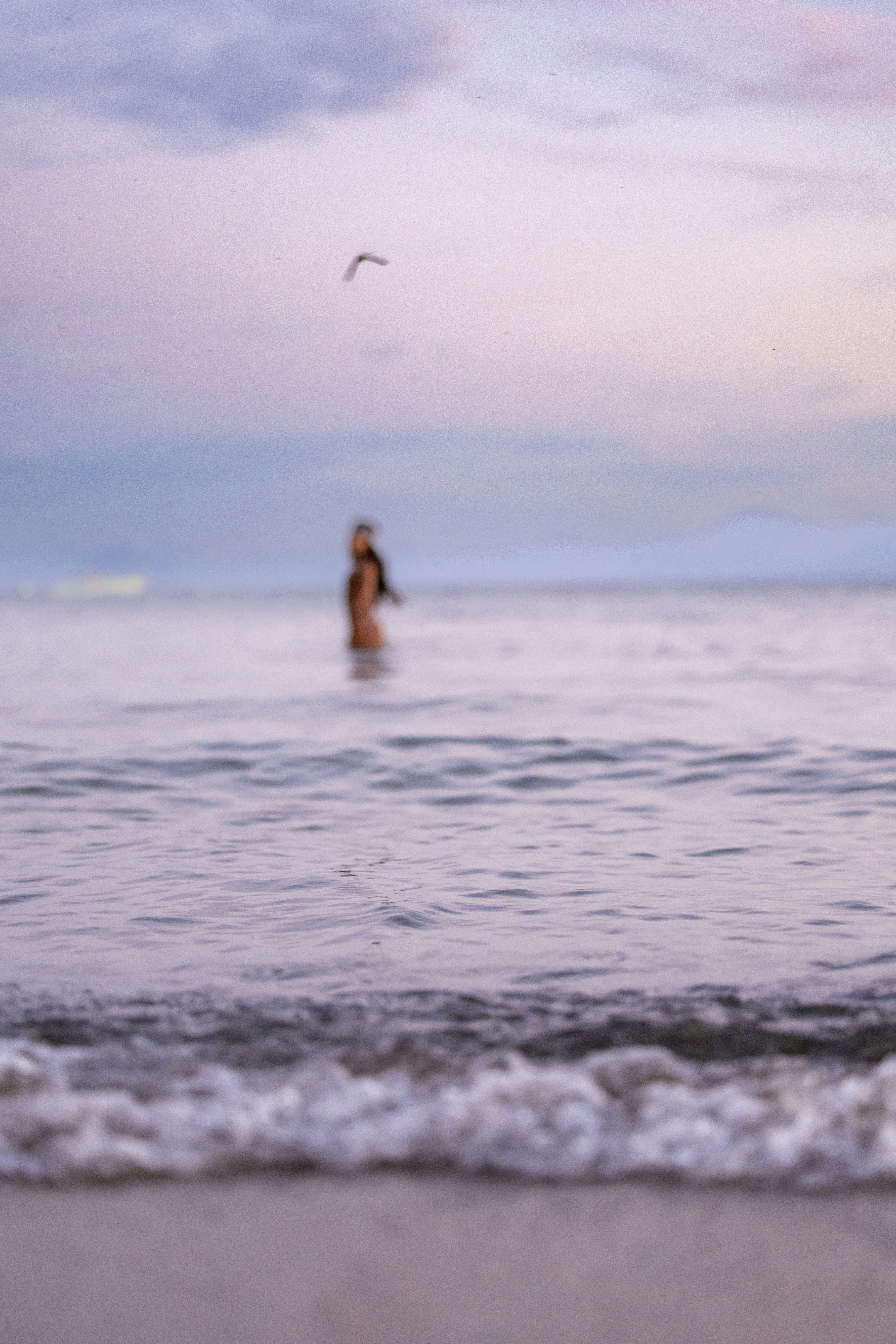 Photo by leo_visions_