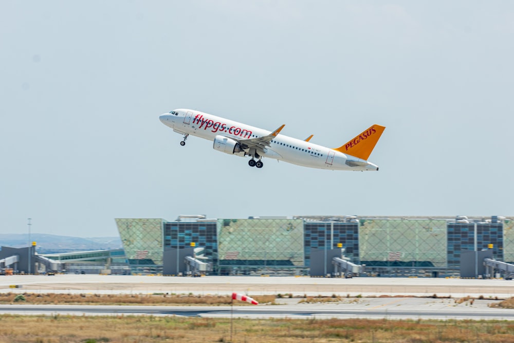 a large jetliner flying through a cloudy sky